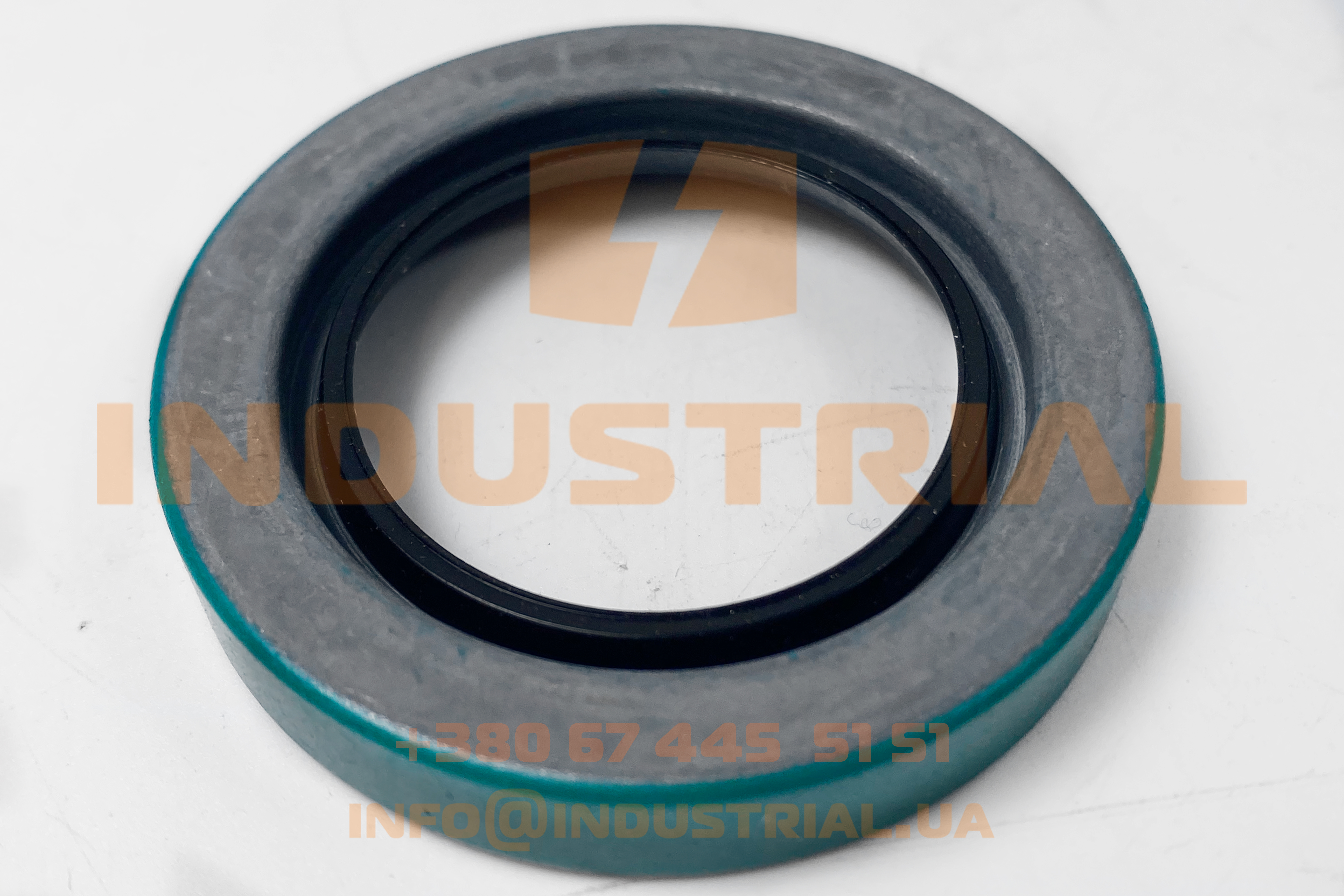 CHG 5231743 CHICAGO RAWHIDE SKF